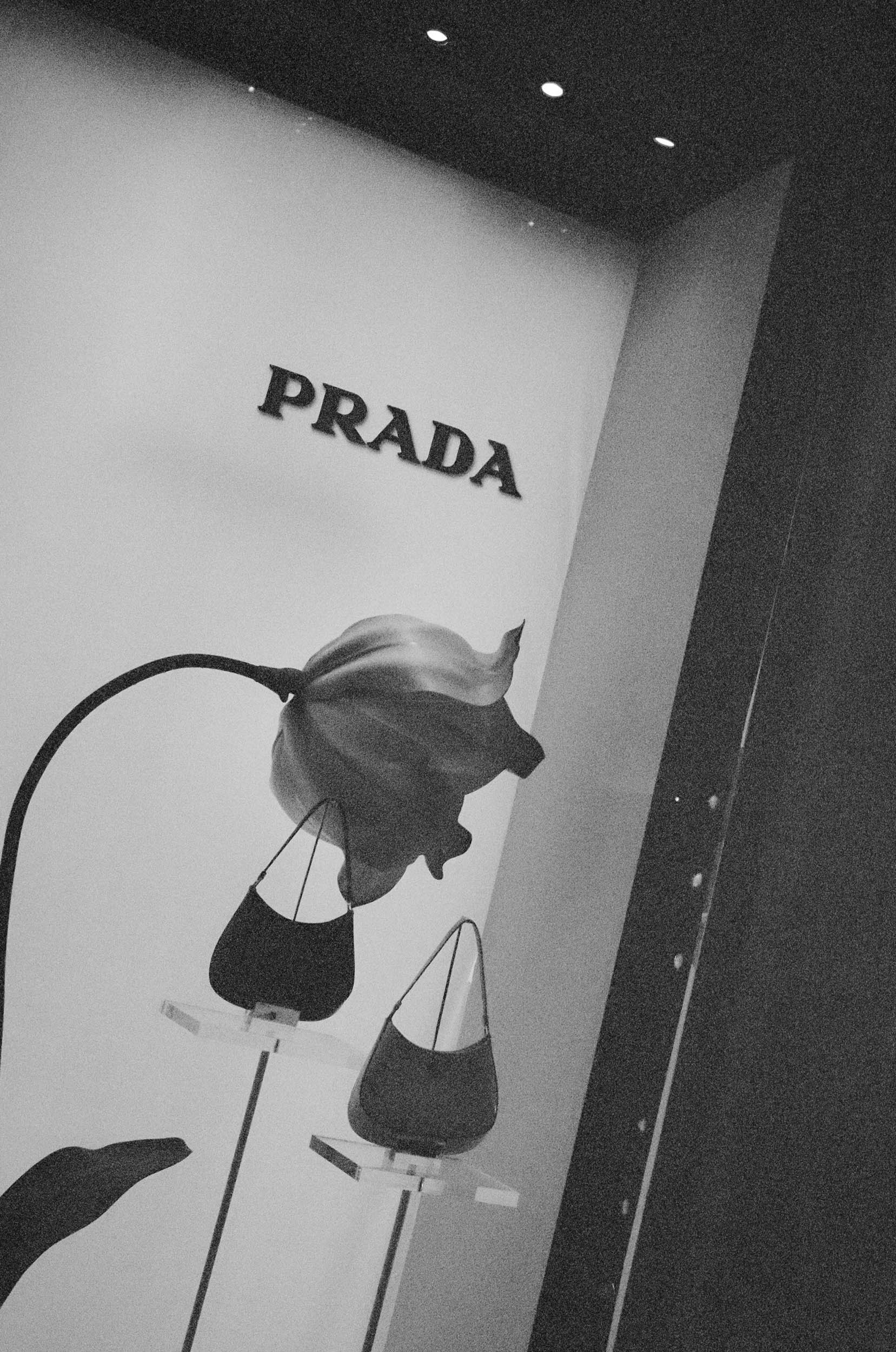 KARINALEE.STUDIO